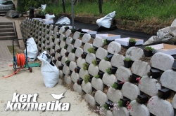 Flórakosarak beültetése (15)